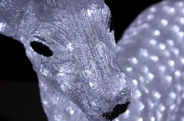 Световые животные