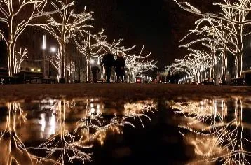 Светодиодные Деревья